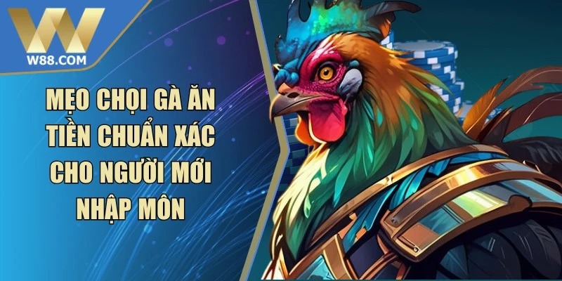 Mẹo Chọi Gà Ăn Tiền